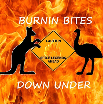 Inspired Logo